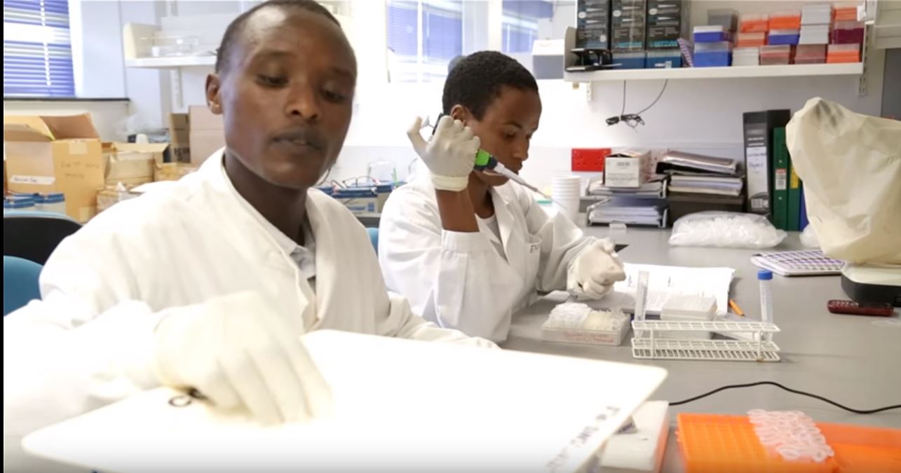 GlaxoSmithKline Africa NCD Open Lab Programme LSTM